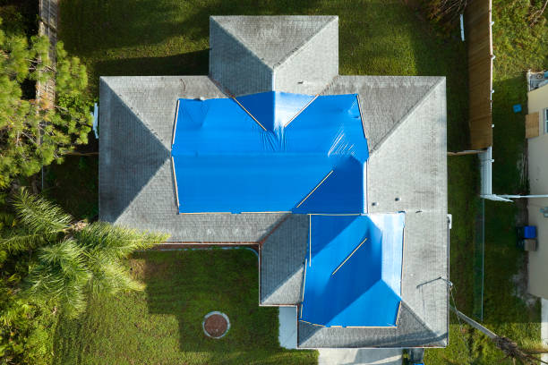 Best Roof Moss and Algae Removal  in Taft, FL